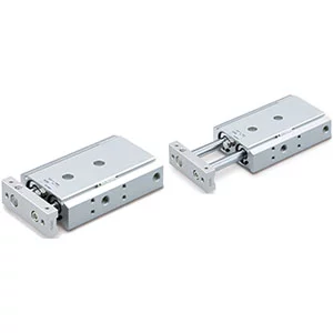 CXS2L- Dual Piston Rods- Ball Bushing Bearing - CXS2L, Dual Piston Rods, Ball Bushing Bearing