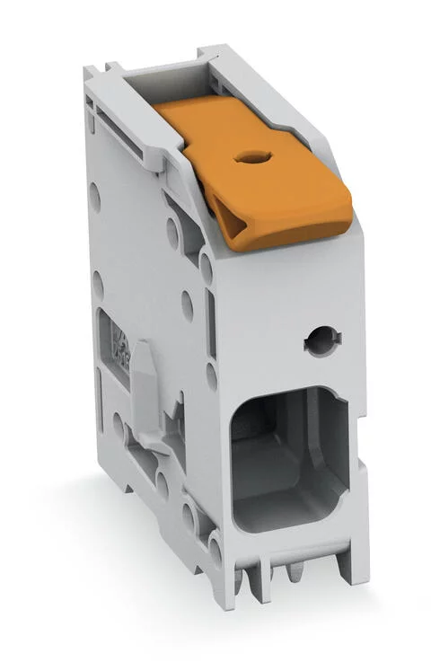2616-1101/000-005/8000-004 - PCB terminal block; Push-in CAGE CLAMP with operating lever; AWG 18 - 4; Pin spacing 10 mm; double pinning; 1-pole; side entry; red