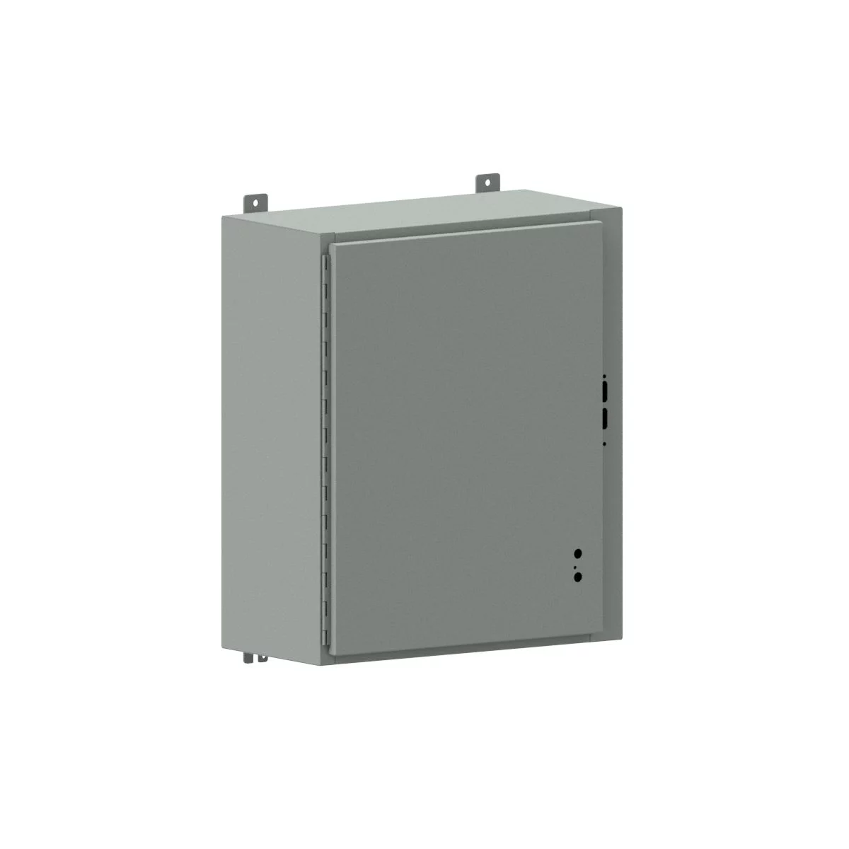 SDN12242110 - N12 Single Door Flanged Disconnect No Handle 24X21X10 Carbon Steel - Gray