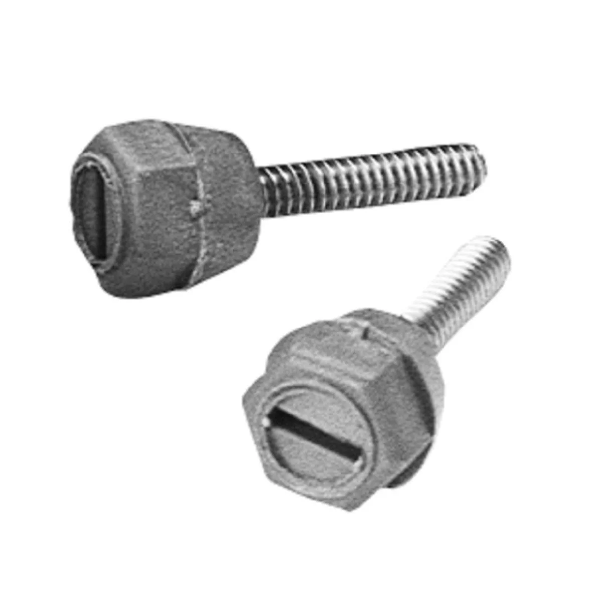 HW-2PKENCAP - PVC Encapsulated Screws, 2 Pack