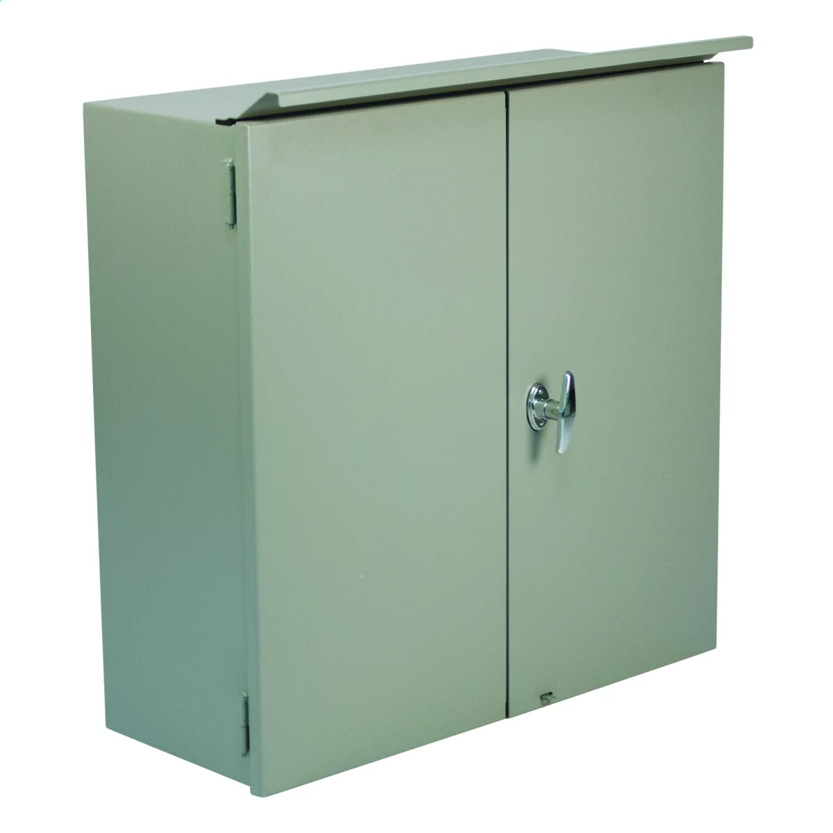 CTDD302410 - N3R CT Double Door Hinged-Cover 30X24X10 Carbon Steel - Gray